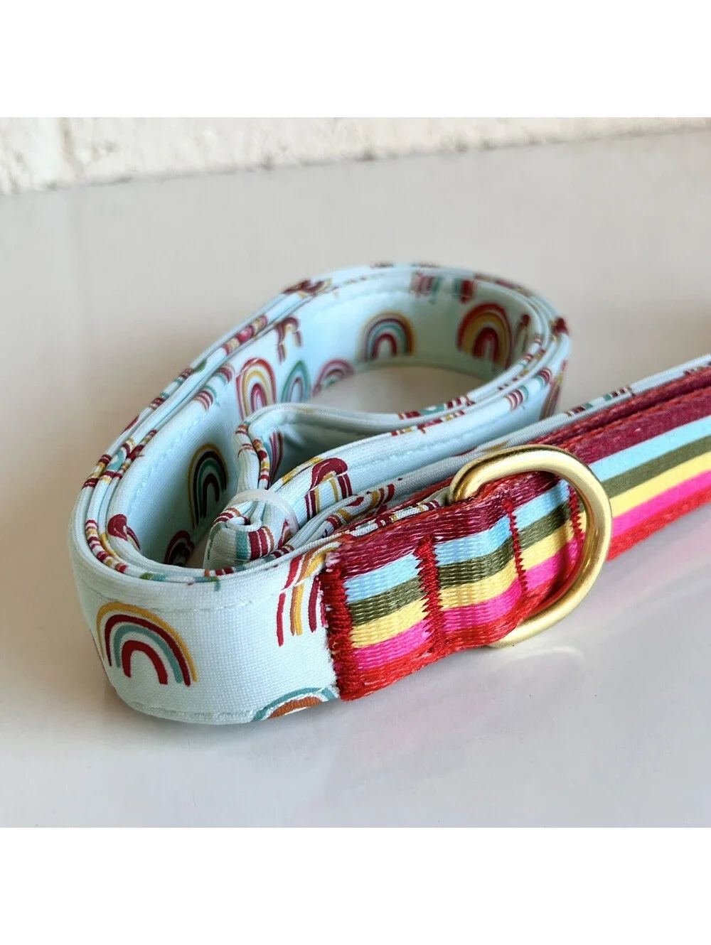 NEW Unisex Pride Rainbow Top Paw 4 Ft Neoprene Leash Dog Puppy NWT